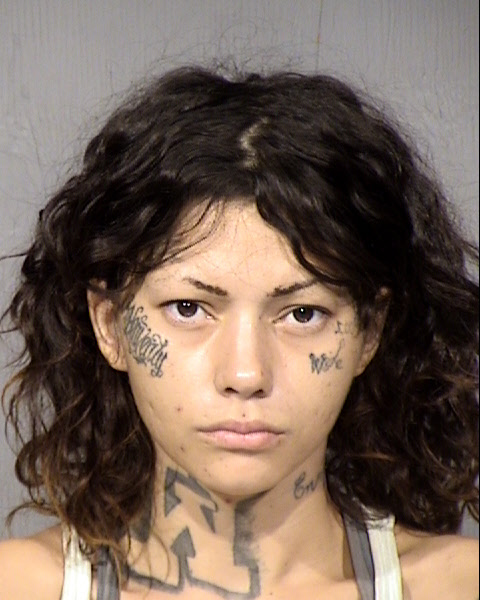 Danielle Marie Lujan Mugshot / Maricopa County Arrests / Maricopa County Arizona