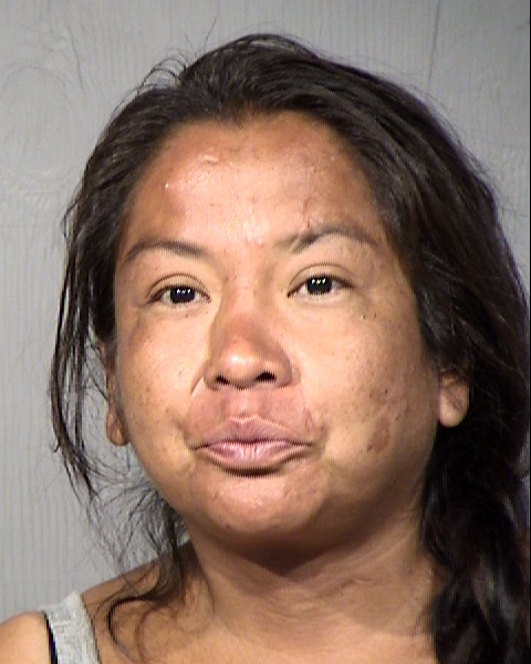 Mona Marie Touchine Mugshot / Maricopa County Arrests / Maricopa County Arizona