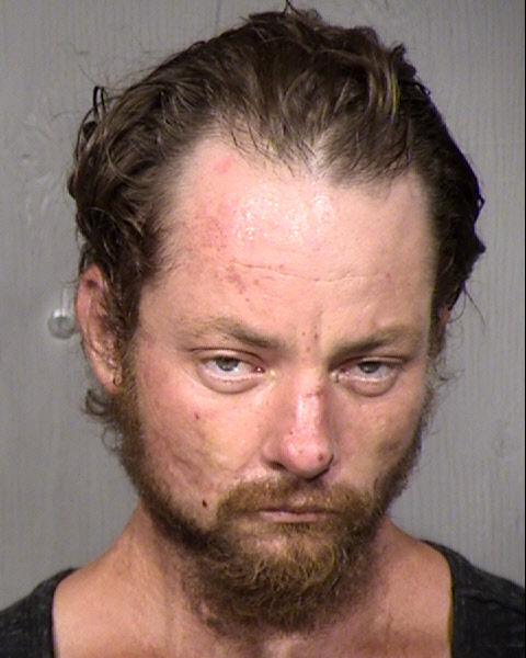 Travis Danny Lee Mugshot / Maricopa County Arrests / Maricopa County Arizona