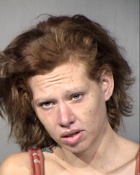 Sara Lauren Luy Mugshot / Maricopa County Arrests / Maricopa County Arizona