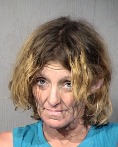 Misty Lee Williams Mugshot / Maricopa County Arrests / Maricopa County Arizona
