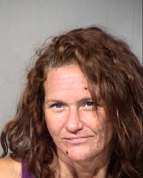 Cheri Renaebernick Thornburg Mugshot / Maricopa County Arrests / Maricopa County Arizona