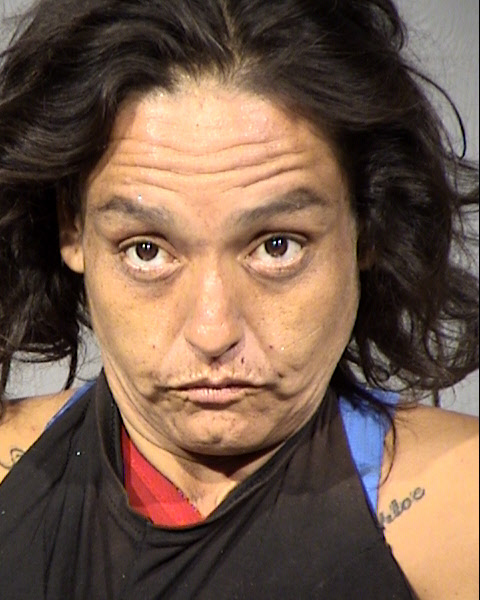 Melissa C Moreno Mugshot / Maricopa County Arrests / Maricopa County Arizona