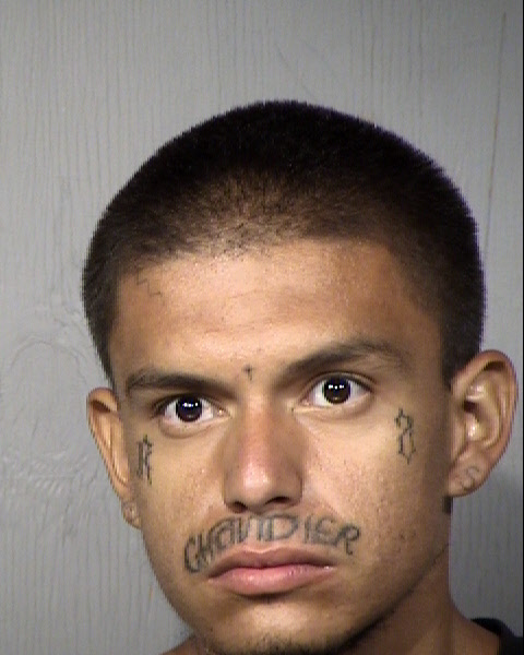 Estephan Miguel Wolfe Mugshot / Maricopa County Arrests / Maricopa County Arizona