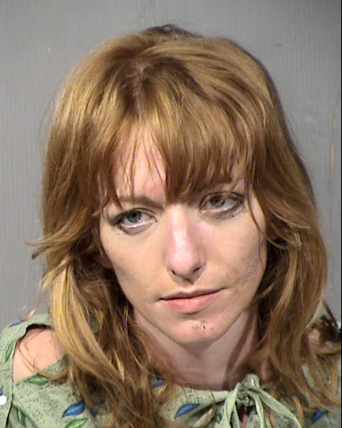 Erica Peterson Mugshot / Maricopa County Arrests / Maricopa County Arizona