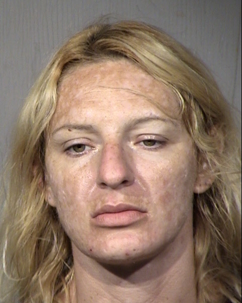 Danielle A Zolna Mugshot / Maricopa County Arrests / Maricopa County Arizona