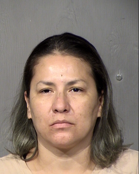 Sandra Elena Van Englehoven Mugshot / Maricopa County Arrests / Maricopa County Arizona