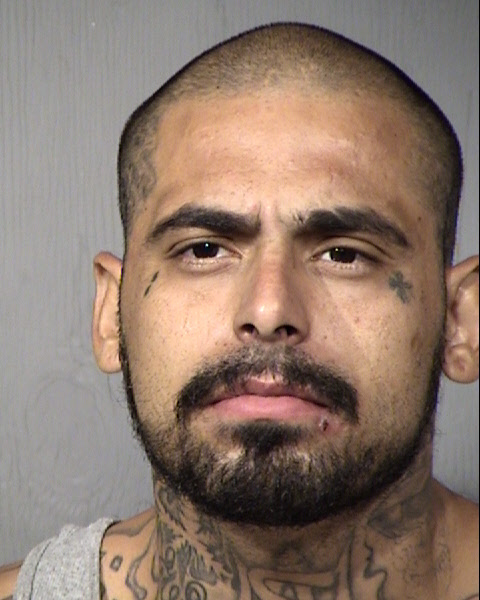 Michael Rudy Gracie Mugshot / Maricopa County Arrests / Maricopa County Arizona