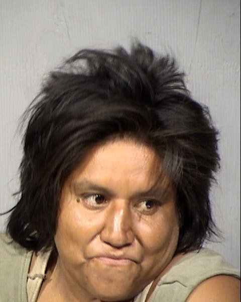Jolene J Johnson Mugshot / Maricopa County Arrests / Maricopa County Arizona