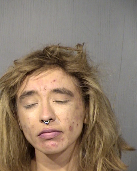 Adrianna L Siegrist Mugshot / Maricopa County Arrests / Maricopa County Arizona