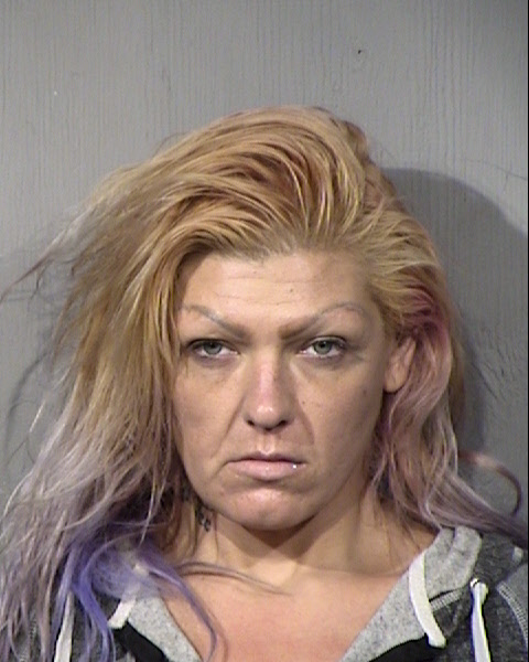 Brandi Nunez Sierra Mugshot / Maricopa County Arrests / Maricopa County Arizona