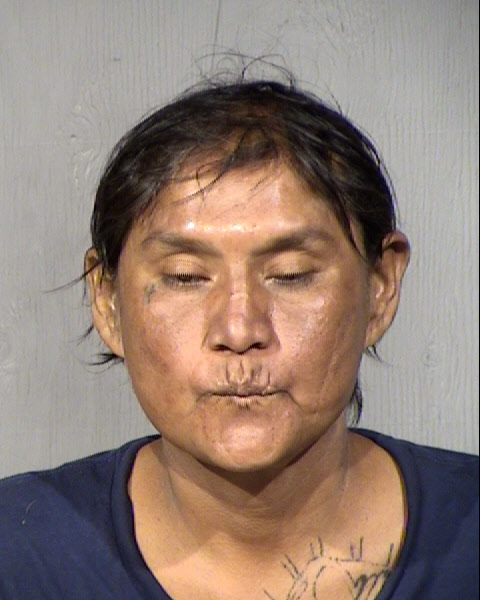 Janis Nez Mugshot / Maricopa County Arrests / Maricopa County Arizona