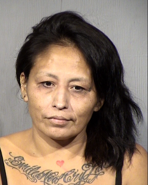 Tisha Larae Ashihi Mugshot / Maricopa County Arrests / Maricopa County Arizona