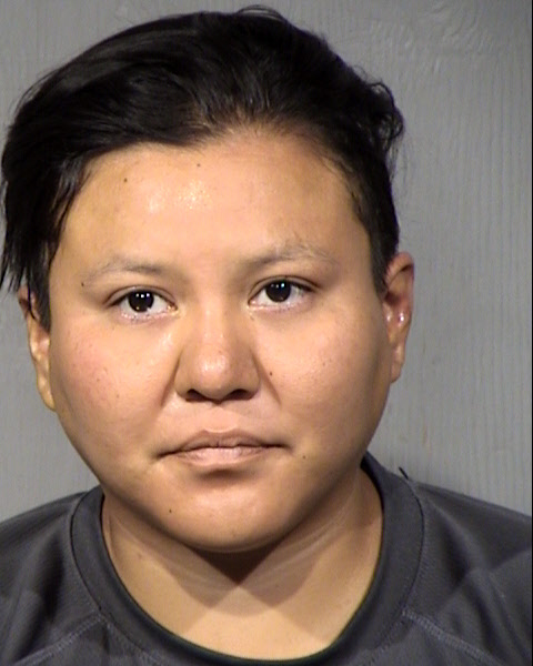 Hillary Ilene Samm Mugshot / Maricopa County Arrests / Maricopa County Arizona