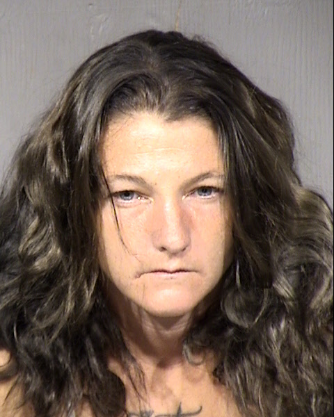 Michelle Lee Martin Mugshot / Maricopa County Arrests / Maricopa County Arizona