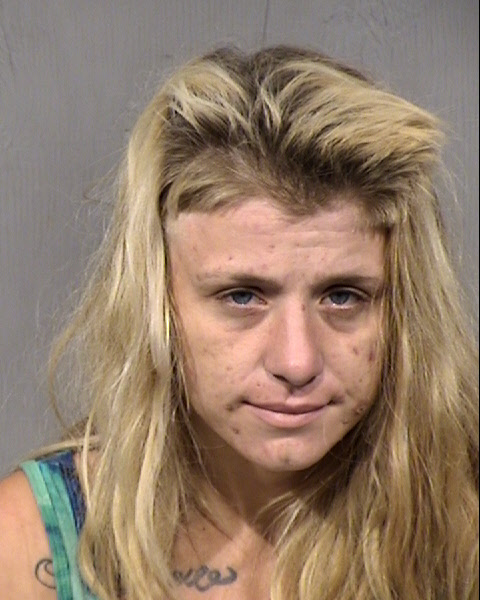 Sara Ann Middleton Mugshot / Maricopa County Arrests / Maricopa County Arizona