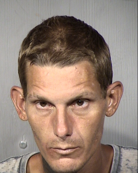 Anthony Michael Ginnetti Mugshot / Maricopa County Arrests / Maricopa County Arizona