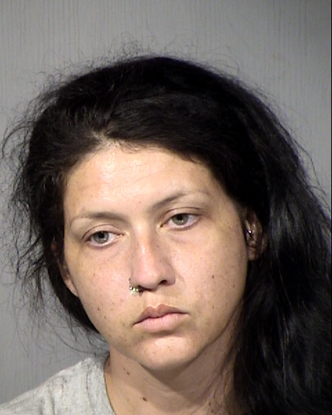 Justine Renee Seitzinger Mugshot / Maricopa County Arrests / Maricopa County Arizona