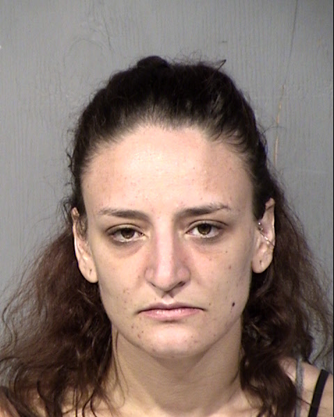 Erin Lindsay Hamilton Mugshot / Maricopa County Arrests / Maricopa County Arizona