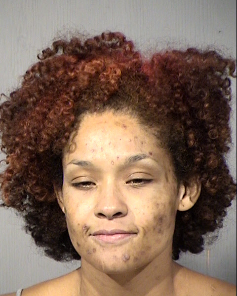 Laryssa Jenee Leblanc Mugshot / Maricopa County Arrests / Maricopa County Arizona