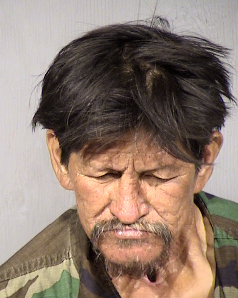 Robert E Lee Mugshot / Maricopa County Arrests / Maricopa County Arizona