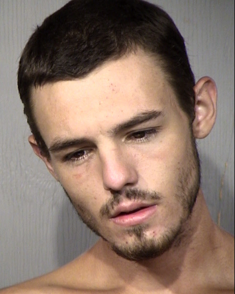 Zachary Cole Levine Mugshot / Maricopa County Arrests / Maricopa County Arizona