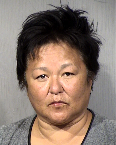 Nan Lee Tsosie Mugshot / Maricopa County Arrests / Maricopa County Arizona