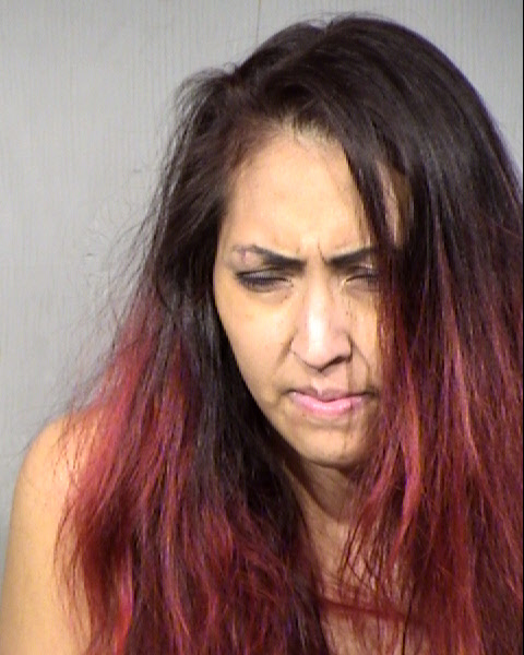 Veronica Ann Hallam Mugshot / Maricopa County Arrests / Maricopa County Arizona