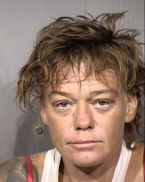 Stephanie Beth Mcdermott Mugshot / Maricopa County Arrests / Maricopa County Arizona