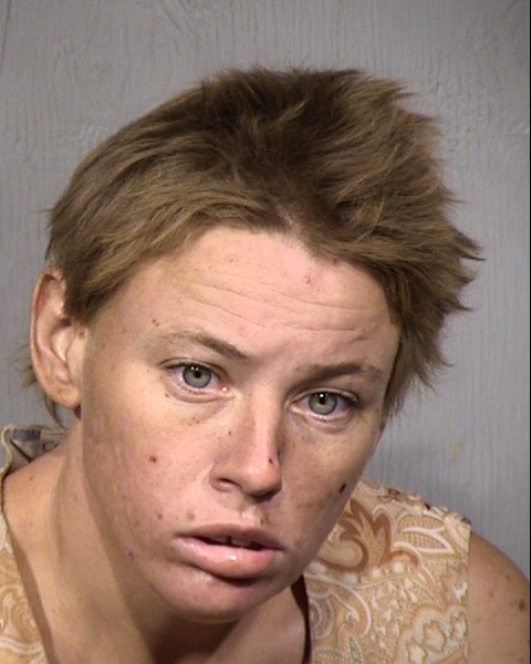 Sharon Louis Scholin Mugshot / Maricopa County Arrests / Maricopa County Arizona