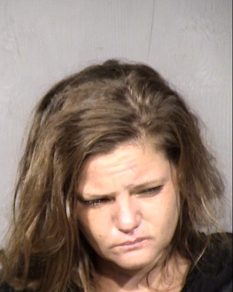 Ashley Marie Mahaney Mugshot / Maricopa County Arrests / Maricopa County Arizona