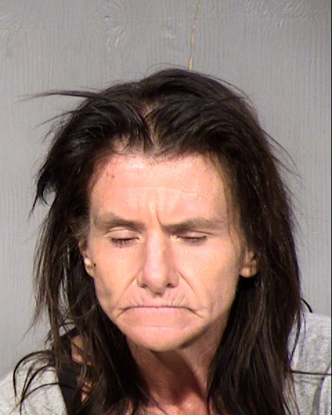 Joann Amy Ford Mugshot / Maricopa County Arrests / Maricopa County Arizona