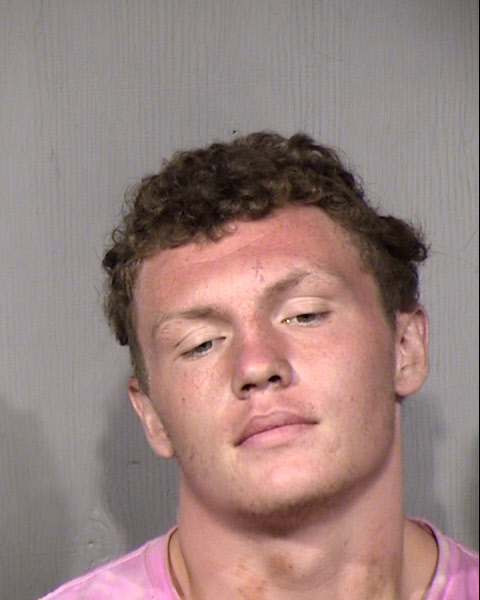 Dominick Lewis Ashton Mugshot / Maricopa County Arrests / Maricopa County Arizona