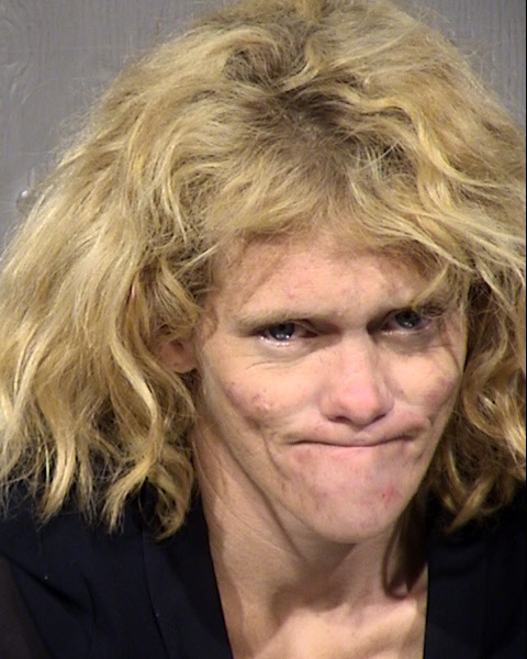 Ashley Nicole Fields Mugshot / Maricopa County Arrests / Maricopa County Arizona