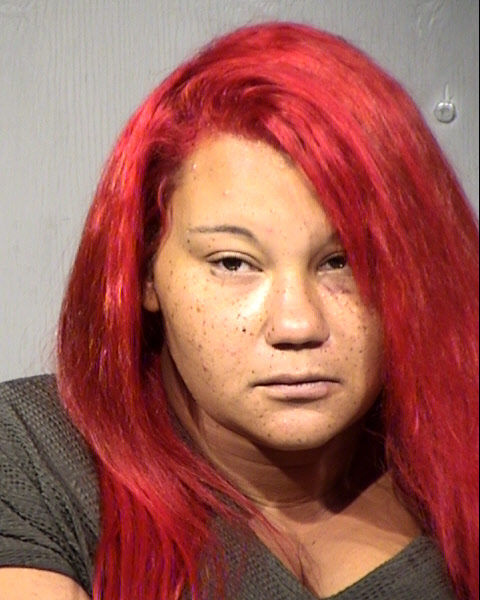 Sarah Schlobohm Mugshot / Maricopa County Arrests / Maricopa County Arizona