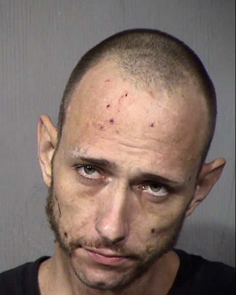 Cory Sayer Pleasant Mugshot / Maricopa County Arrests / Maricopa County Arizona