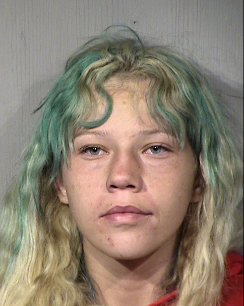 Danni Leeann Holt Mugshot / Maricopa County Arrests / Maricopa County Arizona