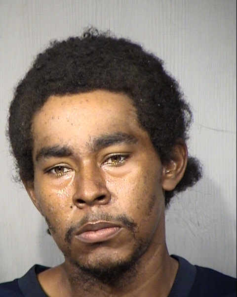 Bradley L Watkins Mugshot / Maricopa County Arrests / Maricopa County Arizona