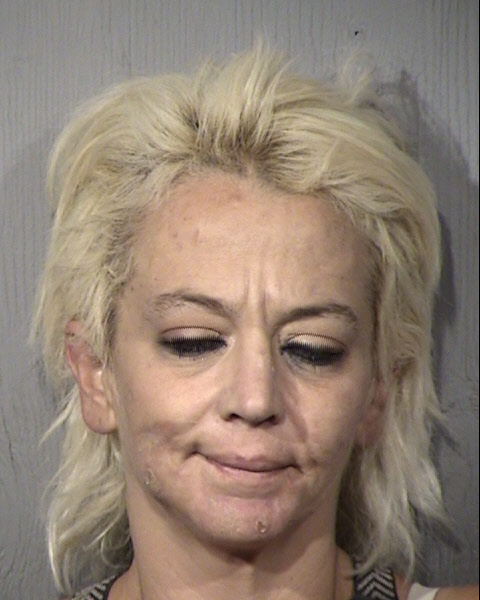 Melinda Joann Molnar Mugshot / Maricopa County Arrests / Maricopa County Arizona