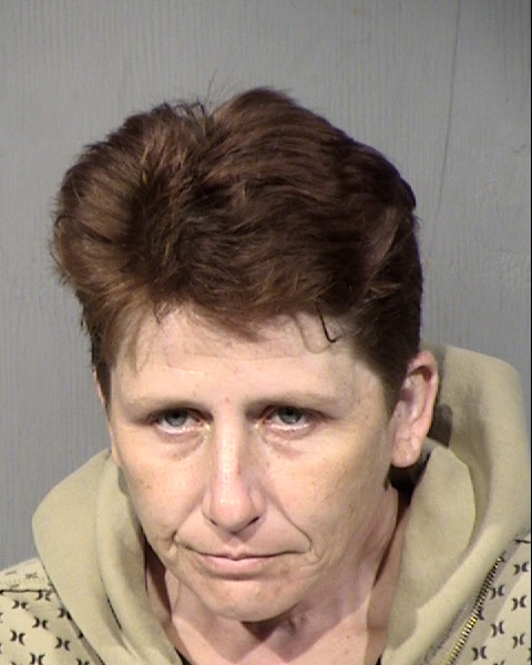 Julie C Castorina Mugshot / Maricopa County Arrests / Maricopa County Arizona