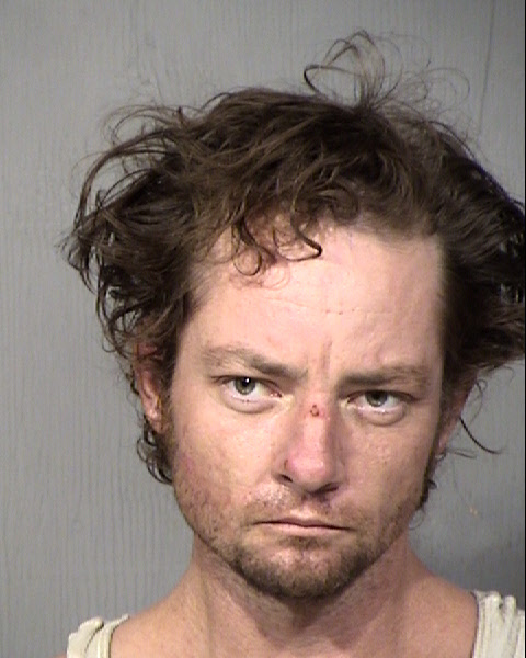 Travis Danny Lee Mugshot / Maricopa County Arrests / Maricopa County Arizona