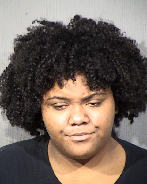 Elizabeth Christine Raptis Mugshot / Maricopa County Arrests / Maricopa County Arizona