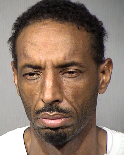 Terrence L Green Mugshot / Maricopa County Arrests / Maricopa County Arizona