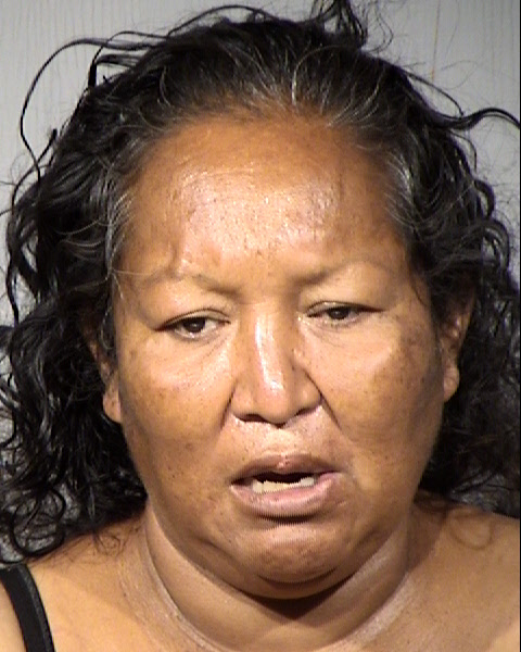 Melissa Dewey Mugshot / Maricopa County Arrests / Maricopa County Arizona