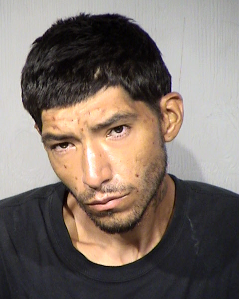 David Steven Wade Mugshot / Maricopa County Arrests / Maricopa County Arizona