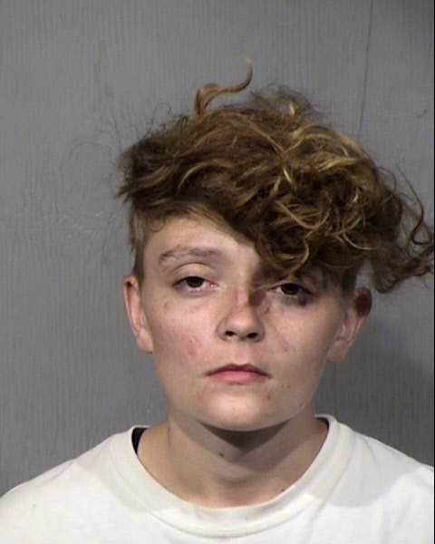 Taylor Lee Farnham Mugshot / Maricopa County Arrests / Maricopa County Arizona