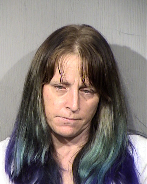 Alison L Risley Mugshot / Maricopa County Arrests / Maricopa County Arizona