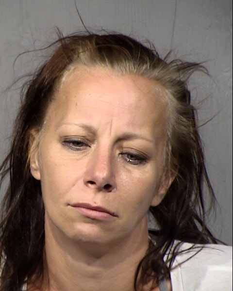 Bonnie Lynn White Mugshot / Maricopa County Arrests / Maricopa County Arizona