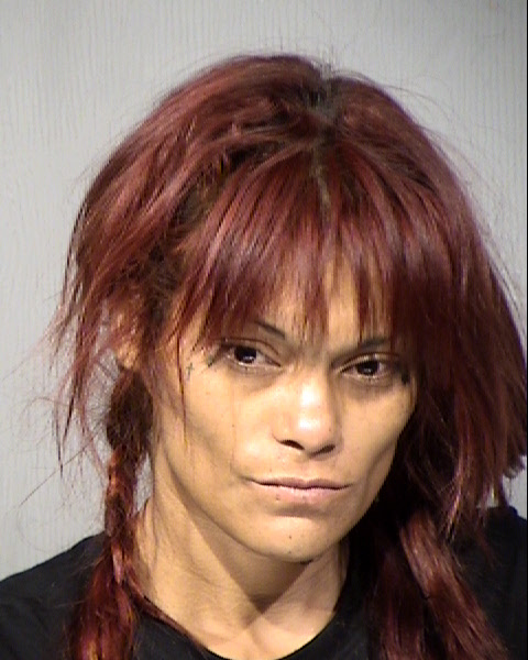 Michelle Ann Barraza Mugshot / Maricopa County Arrests / Maricopa County Arizona
