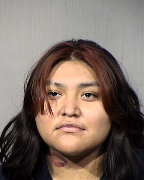 Amanda Leann Vanegas Mugshot / Maricopa County Arrests / Maricopa County Arizona